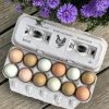 Hatching Time Henlay Egg Carton pre-marked with free range, hand gathered, farm fresh and laid local branding on table by flowers and filled with white and brown chicken eggs.