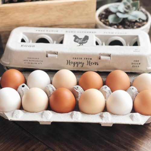 Hatching Time Henlay Egg Carton pre-marked with free range, hand gathered, farm fresh and laid local branding.