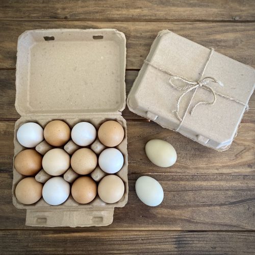 Hatching Time. Henlay Vintage white 12ct chicken egg cartons shown on table filled next to carton closed with twine.