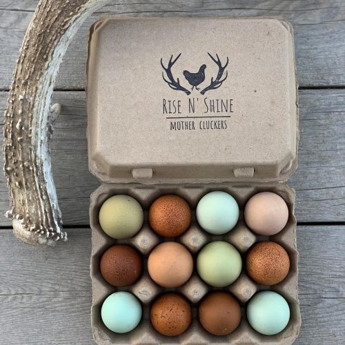 Hatching Time. Henlay Vintage white 12ct chicken egg cartons shown filled with a Farm Stamp on a table by a deer antler.