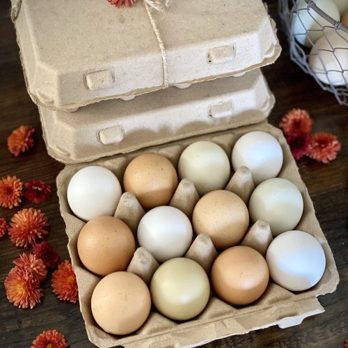 Hatching Time. Henlay Vintage white 12ct chicken egg cartons shown filled on table with flowers next to closed egg cartons tied with twine.