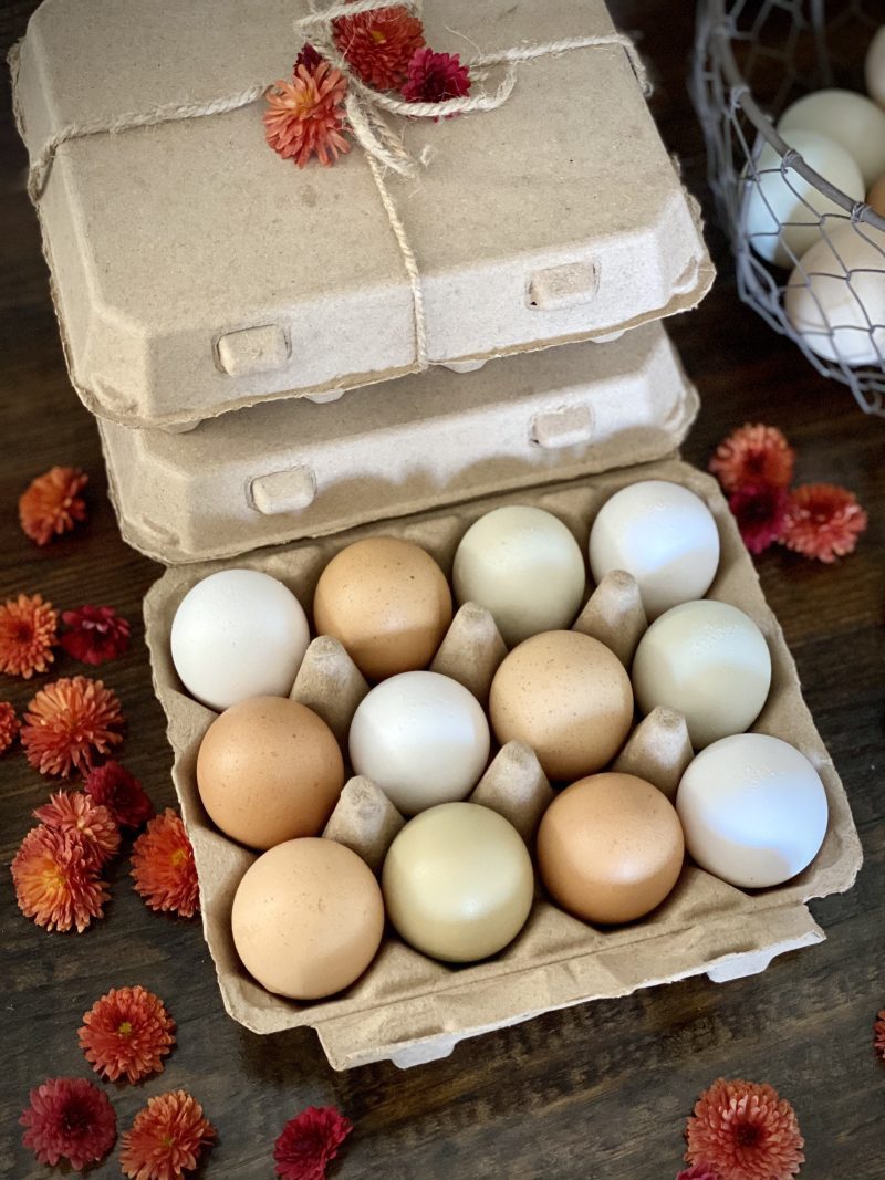 Hatching Time. Henlay Vintage white 12ct chicken egg cartons shown filled on table with flowers next to closed egg cartons tied with twine.