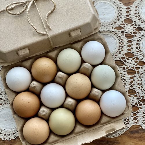 Hatching Time. Henlay Vintage white 12ct chicken egg cartons shown filled on a table.