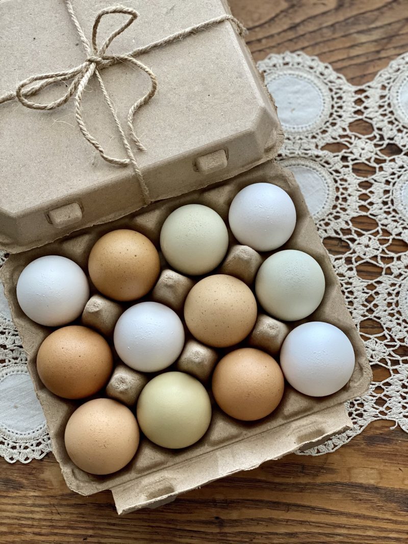 Hatching Time. Henlay Vintage white 12ct chicken egg cartons shown filled on a table.