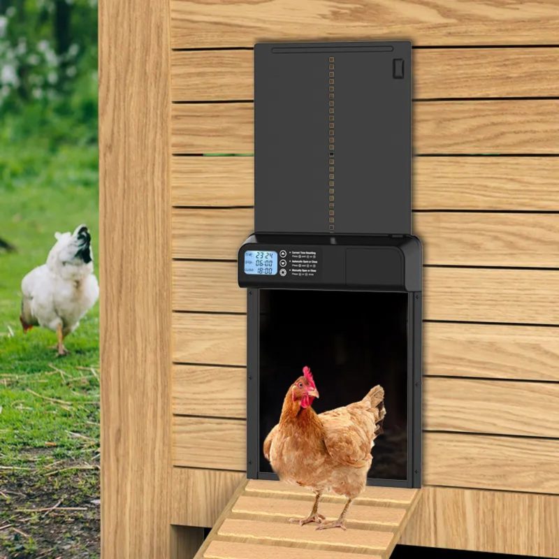 Automatic Coop Door 2