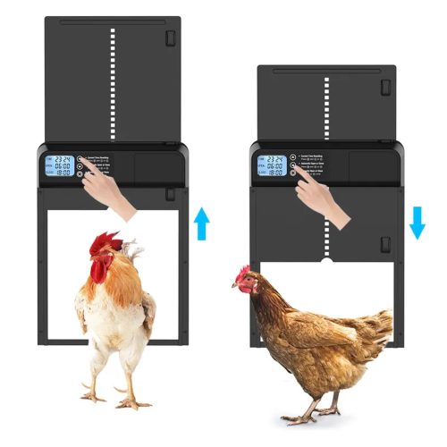 Automatic Coop Door 5