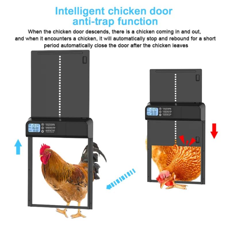 Automatic Coop Door 6