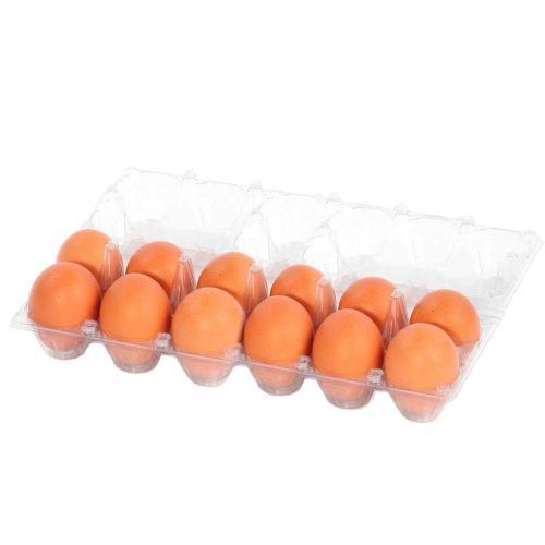 Hatching Time. 12 brown chicken eggs can be seen in clear egg carton