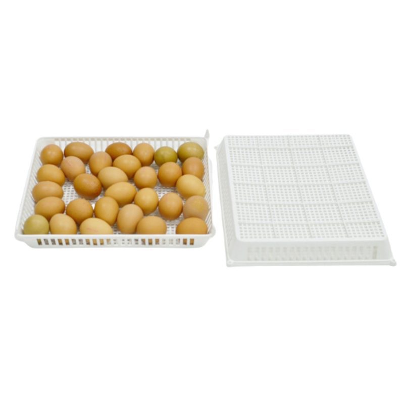 EGG basket CS30