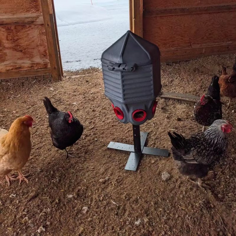 HatchingTime Feed Silo 40 Lb Feeder CoopWorx CWFS 40 XBASE In Barn 01d3e0e8 08a2 4de2 bc1a afa16e6742bf