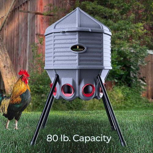 HatchingTime Feed Silo 80 Lb Feeder CoopWorx CWFS 80 A4 Large Capacity 2fe94444 a2cf 4300 b3cb 387471749ae4