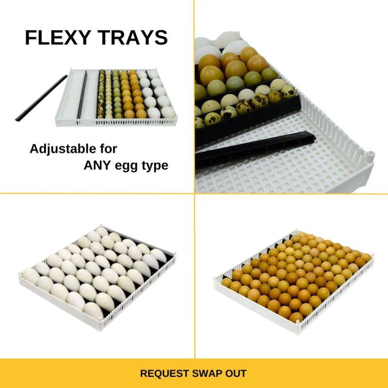 T Series Incubator Egg Setter Tray Flexy80 Type Cimuka Hatching Time