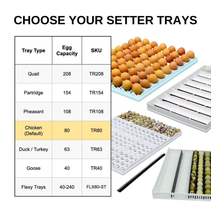 T Series Incubator Egg Setter Tray Types Cimuka Hatching Time