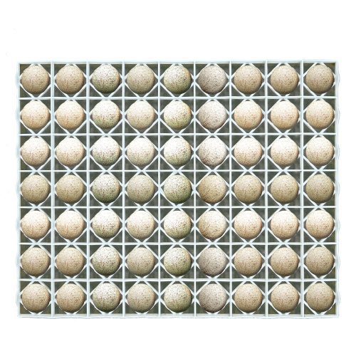 Egg Setter Tray - Duck/Turkey - 63 Eggs