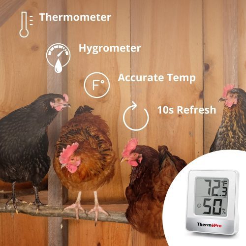 Thermometer Facts about TP 49 Thermometer Hatching Time