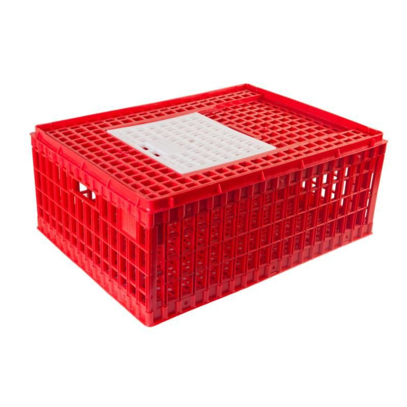 Transport Cage Top Opening AYTAV Hatching Time 301005