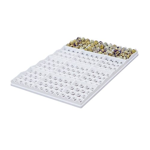 Egg Setter Tray - Quail - 208 Eggs