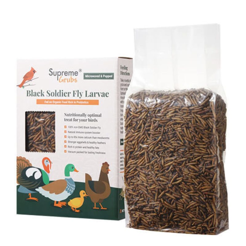 black soldier fly larvae mpc 1