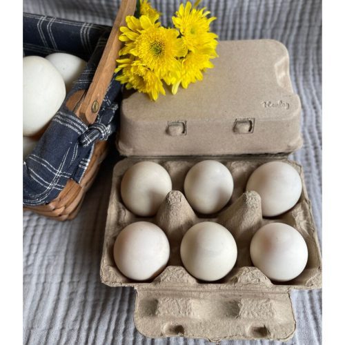 duck egg carton.1692105360485