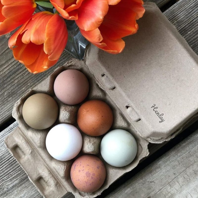 henlay half dozen egg carton 1