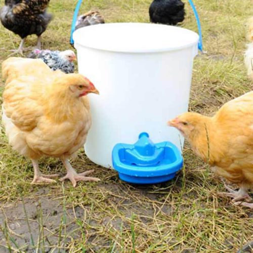 maxi cup poultry drinker bucket 600