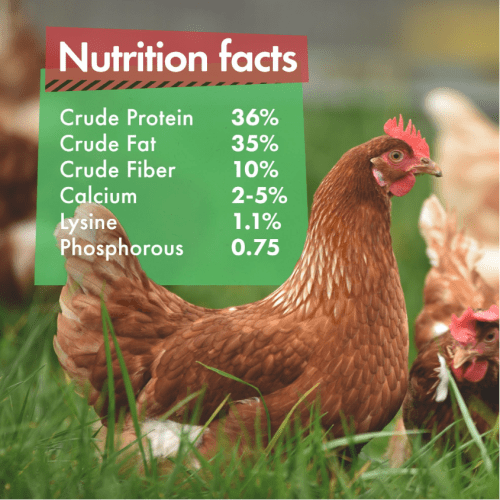 nutrion facts part 2