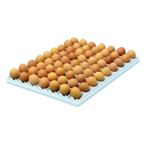 Egg Setter Tray - Chicken - 80 Eggs